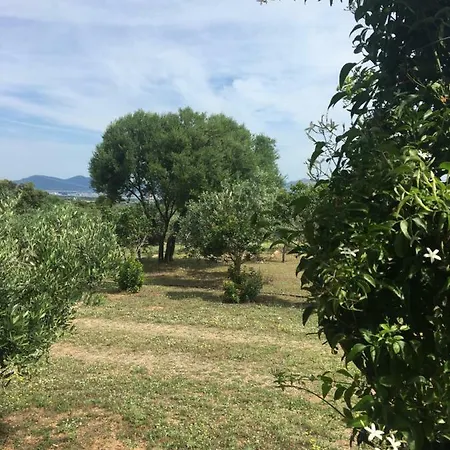 Apartment Murta Maria Mare *