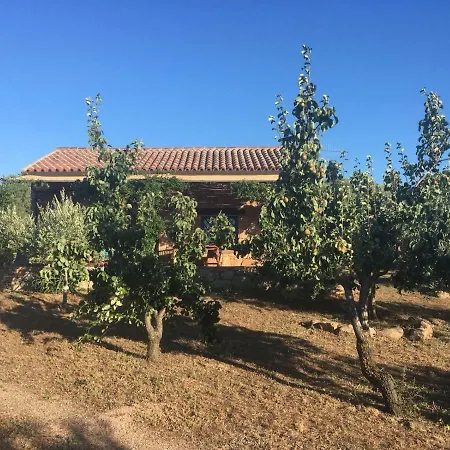 Apartment Murta Maria Mare *