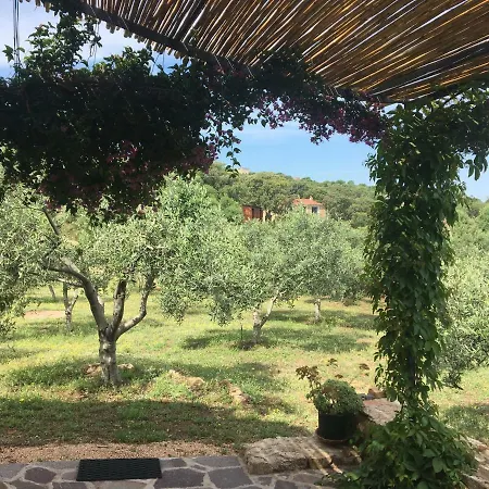 Apartment Murta Maria Mare *