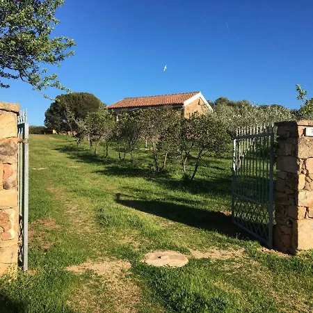 Apartment Murta Maria Mare Olbia