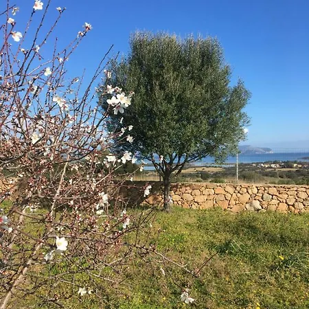 Apartment Murta Maria Mare Olbia